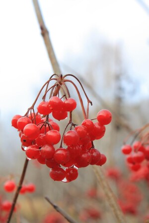 Осеннее настроение...