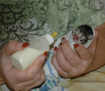 младенцы бывают разные...