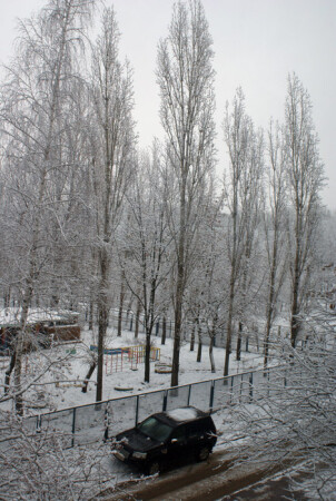 день певого снега