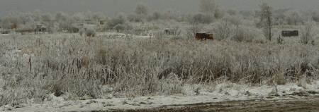 По дороге на рыбалку