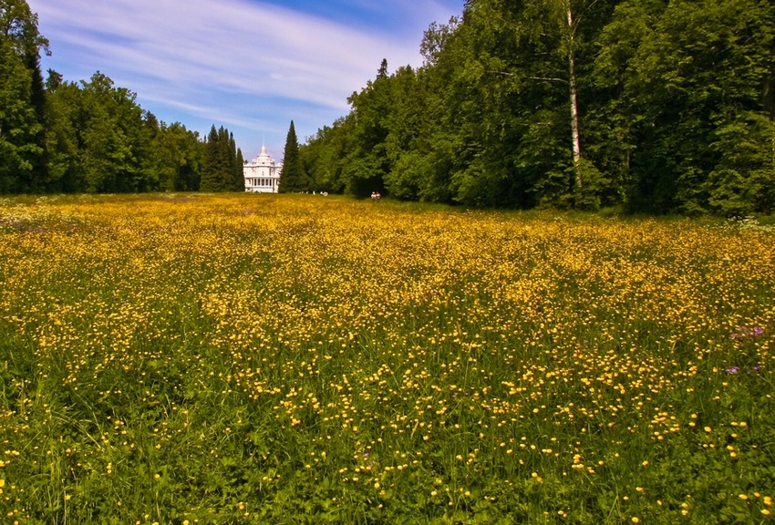 &quot;Катальная горка&quot;