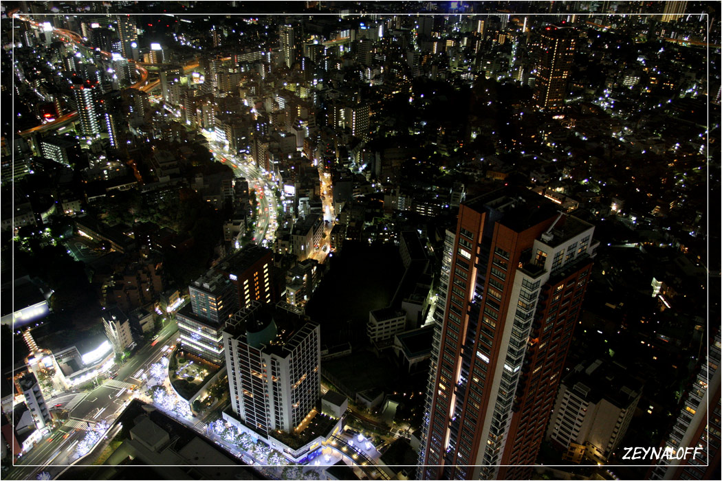 Tokyo night view!!!