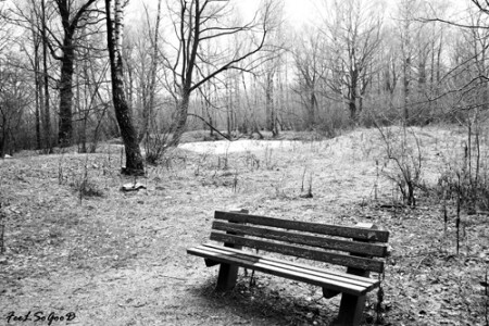 Однажды в лесу