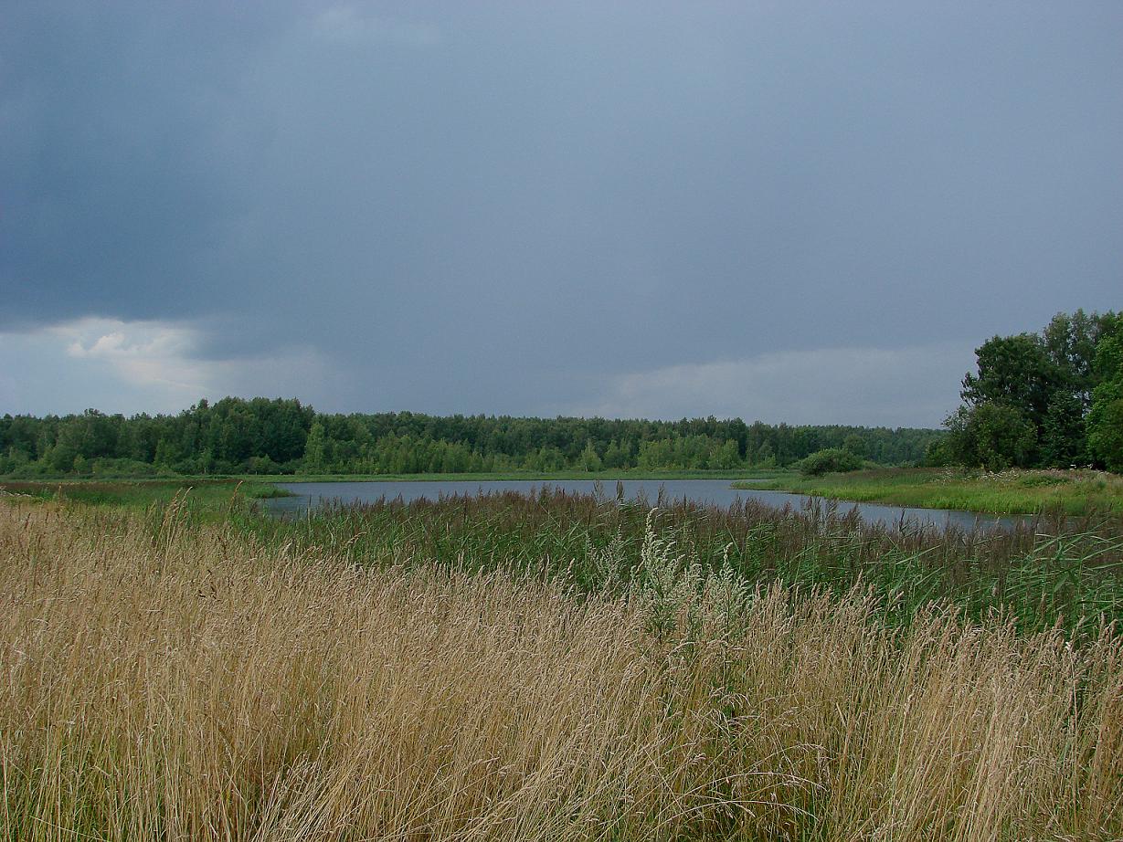 Перед грозой