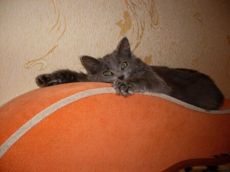 хорошо лежим