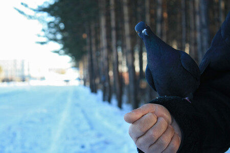 еще семечки????