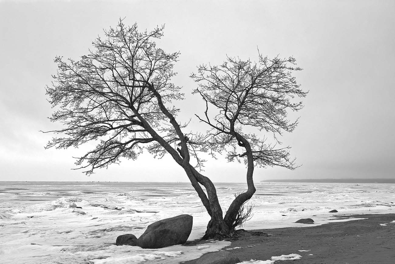 Зима. Берег Финского залива.