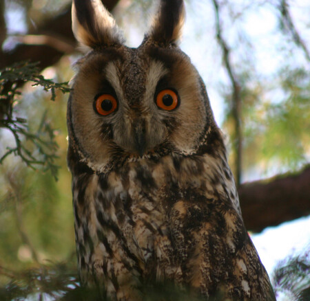 Такой внимательный