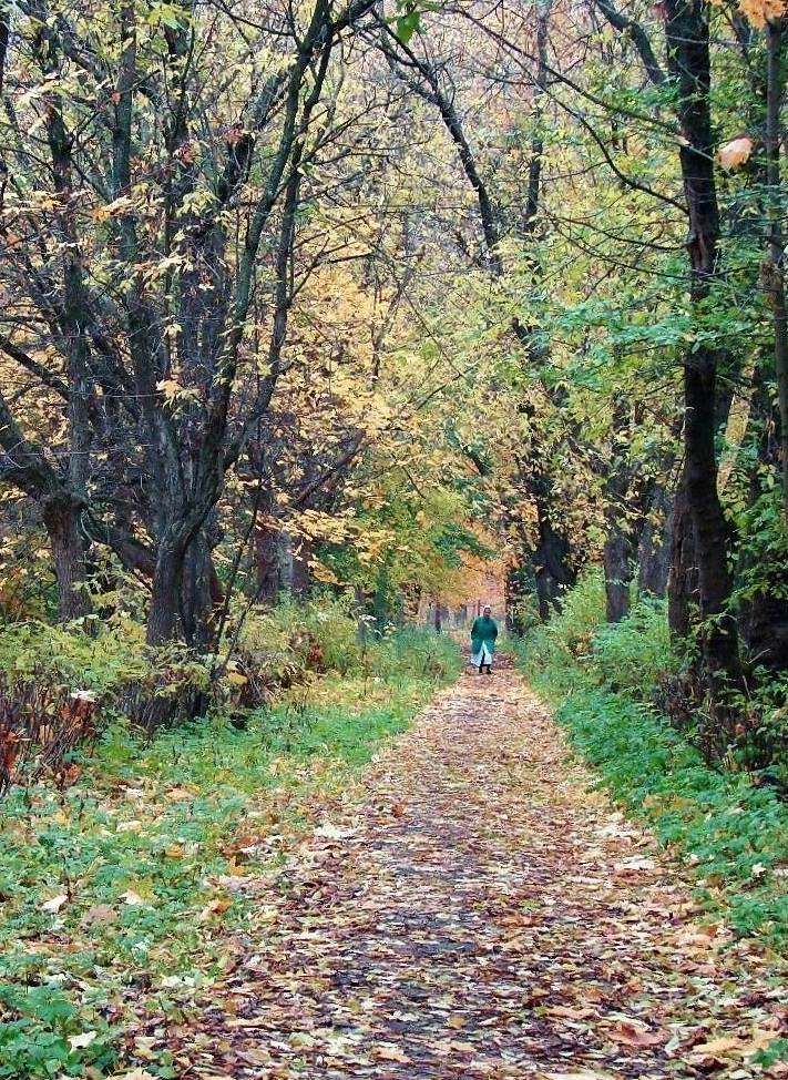 Больничная аллея.