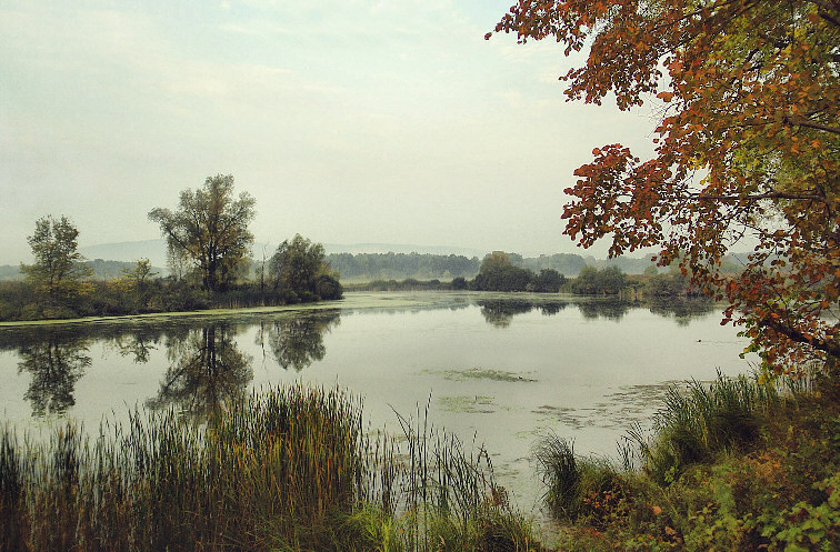 Вечерний. Осенний.