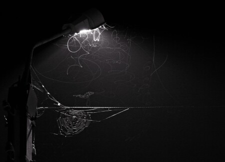 &amp;quot;письмо мотыльков&amp;quot;