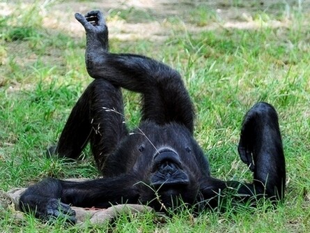 когда же пятница