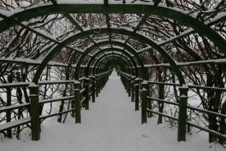 &quot;деревянный&quot; туннель