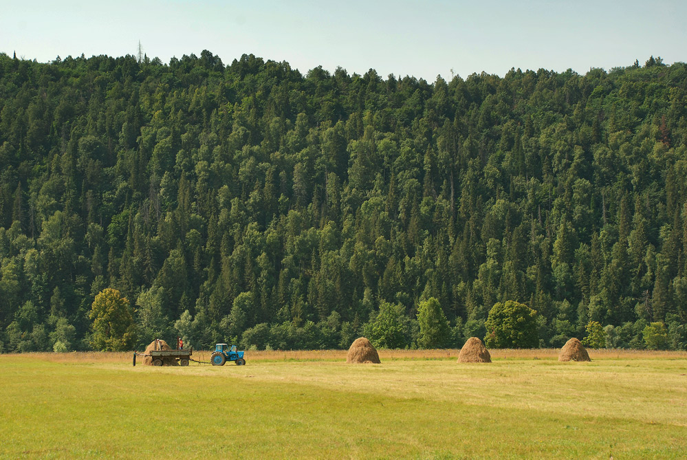 День год кормит