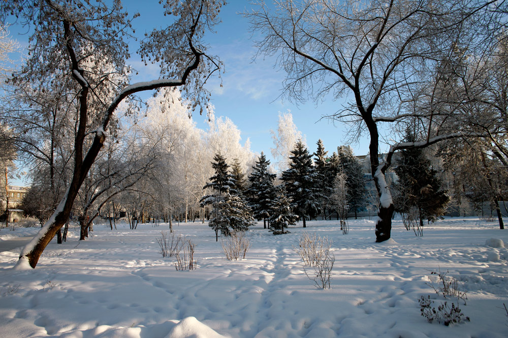 Городской парк