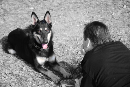 Разговор по душам