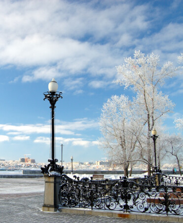 Черное на белом