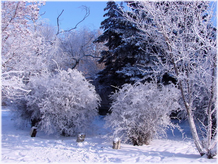 Зимняя парковая