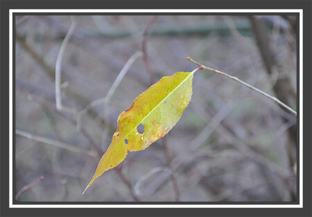 Последний...
