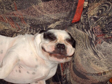 Улыбчивый...