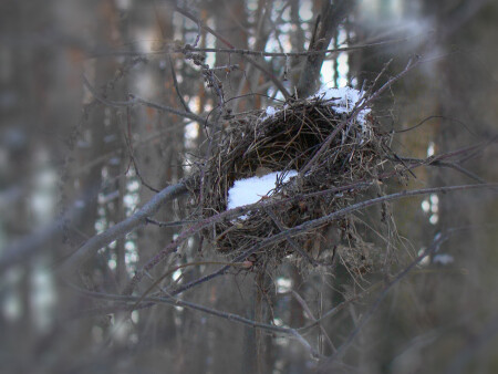 Угасший очаг.