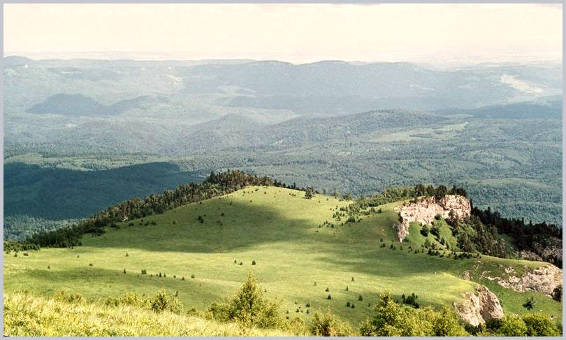 Княжьи поляны. 1986.