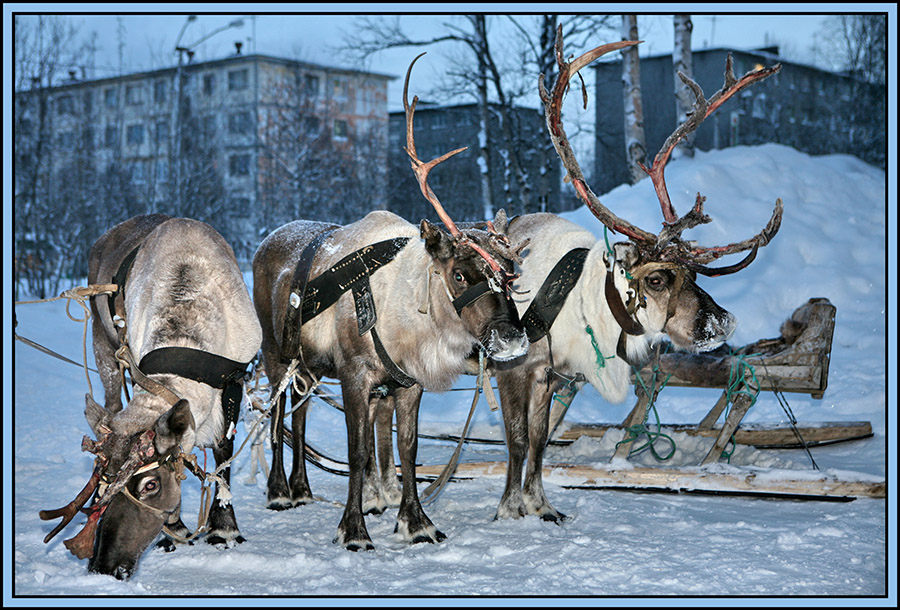 &quot;ЗаПолярье&quot;