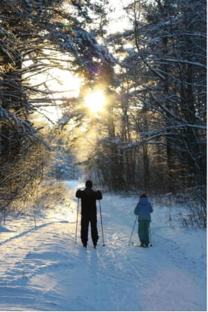 Лыжная прогулка