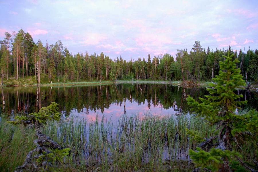 Лукоморье