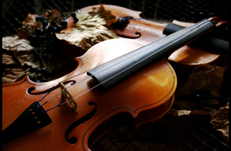 натюрморт-1