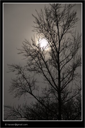 Зимнее солнце