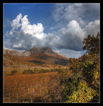 Колыбель вин и коньяков