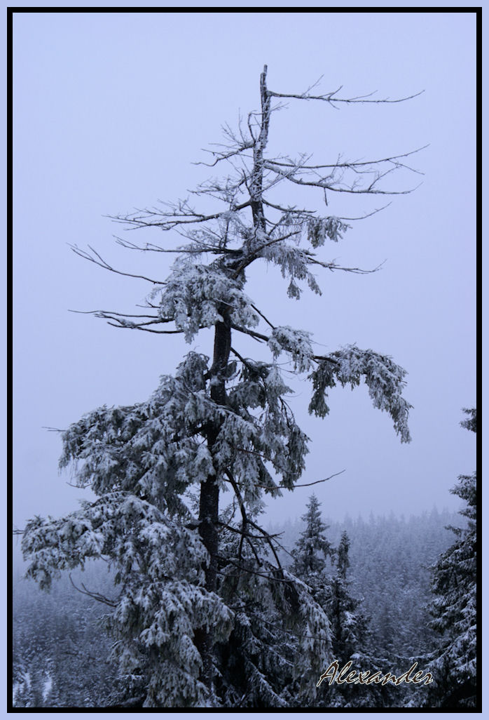 germany Harz.