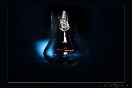 Bulb