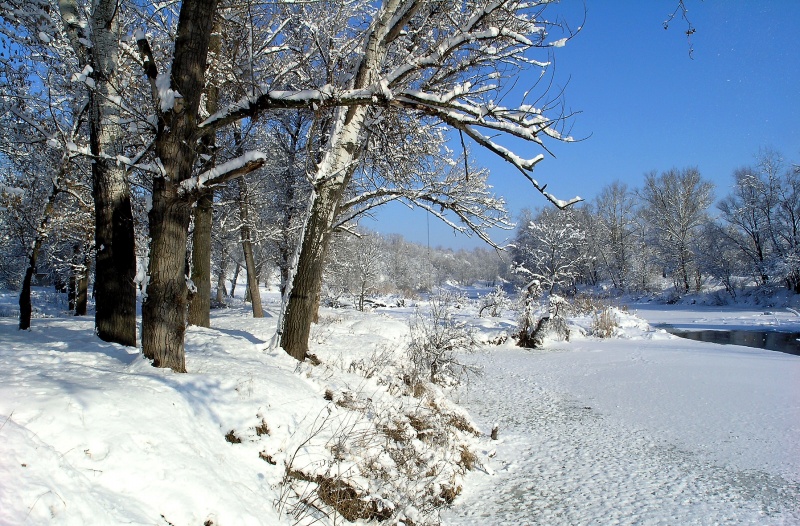 Зимняя Ворскла