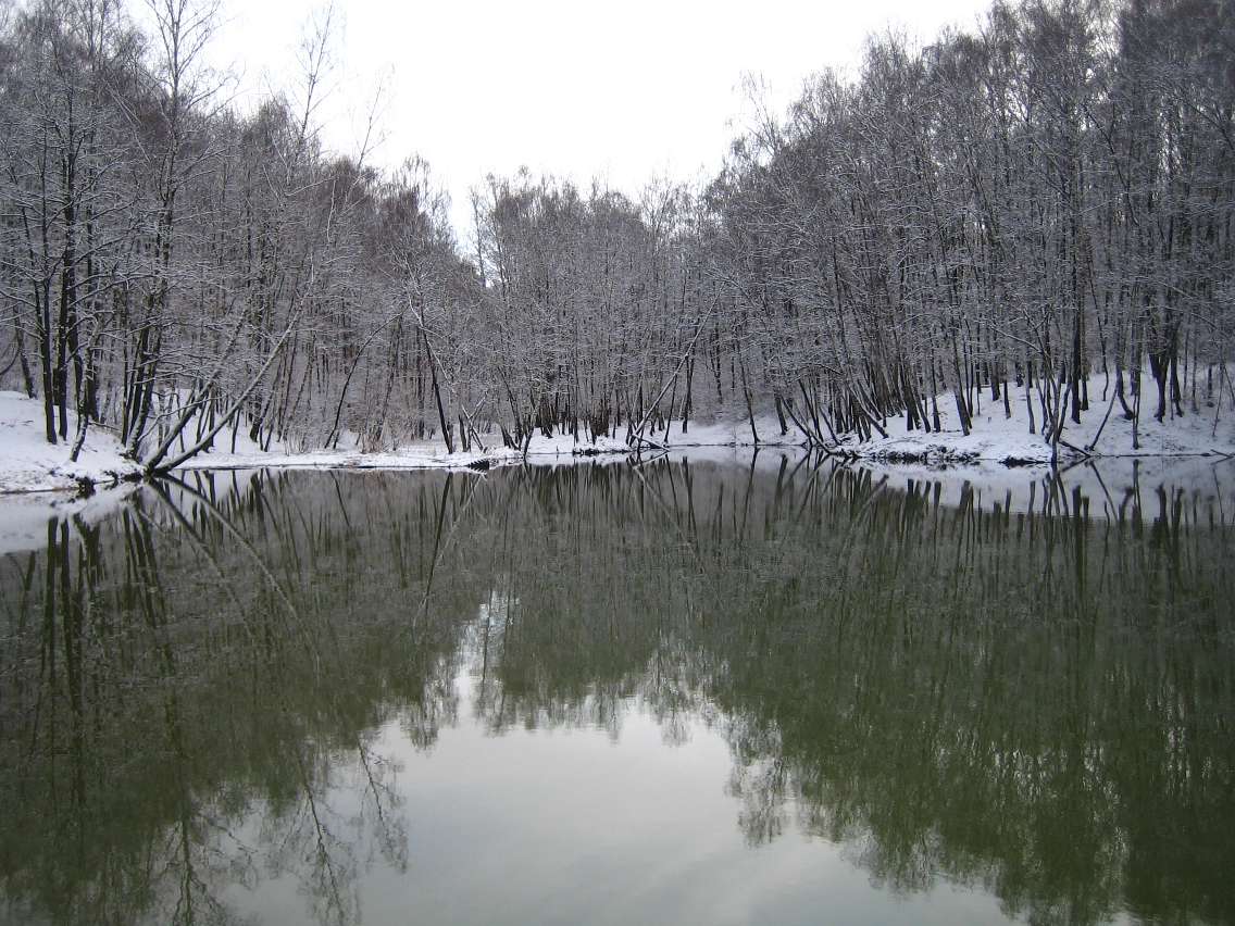 Зеркальная тишина