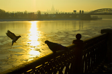 Здесь тоже ничего нет