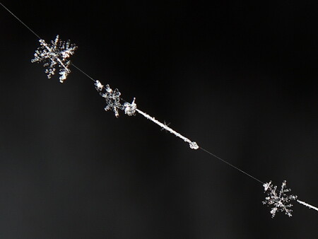 снежинки 1