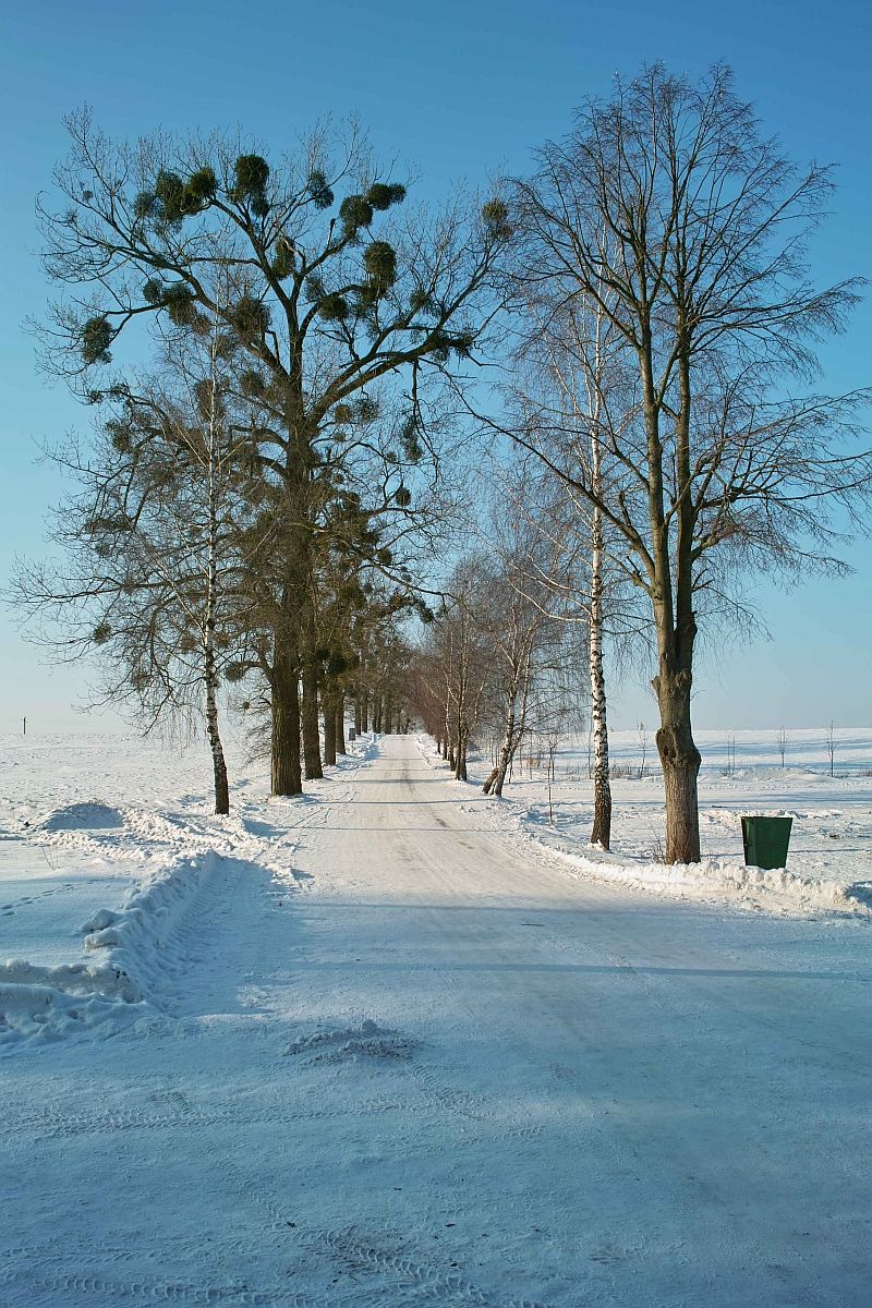 Дорога в скит