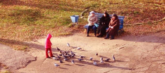 Поколения