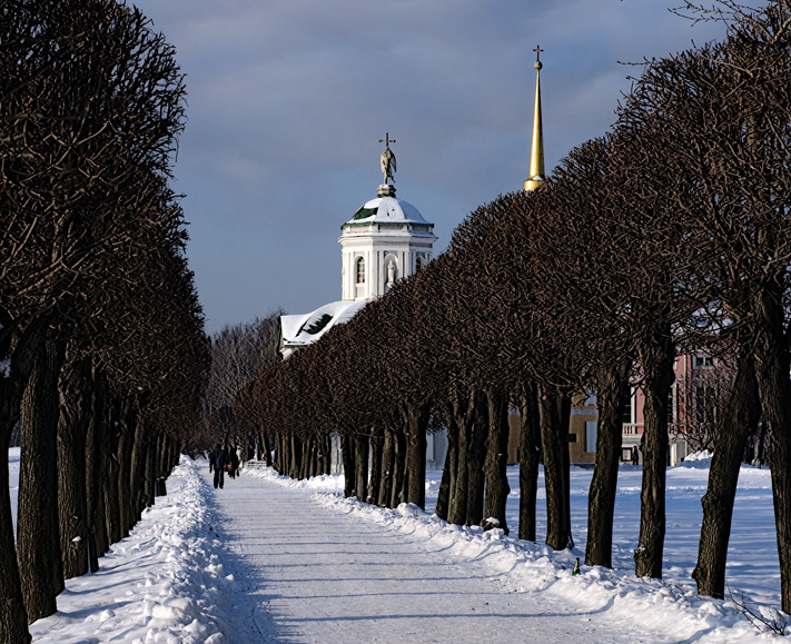 Мороз в Кусково