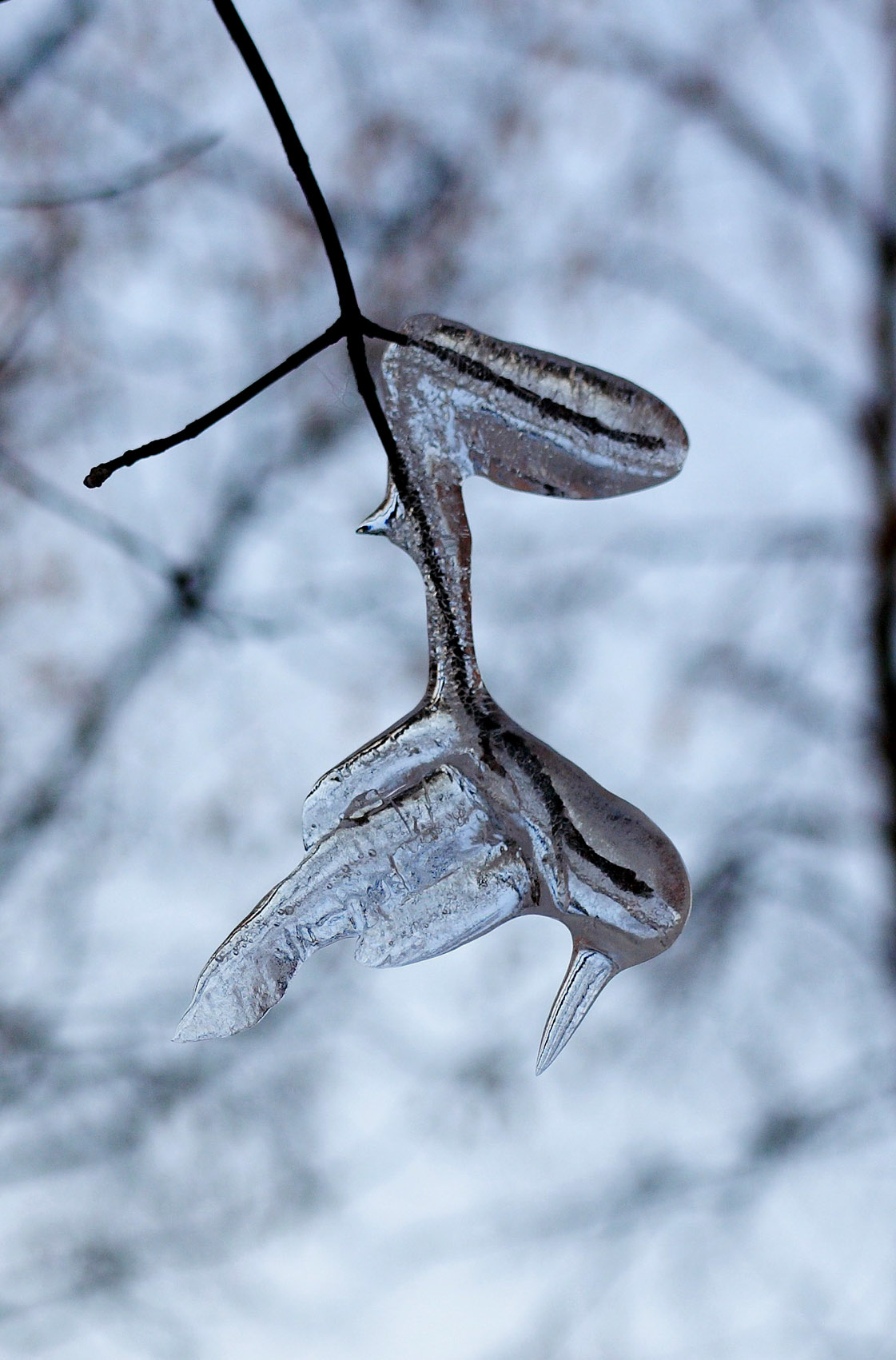 Glacial dance