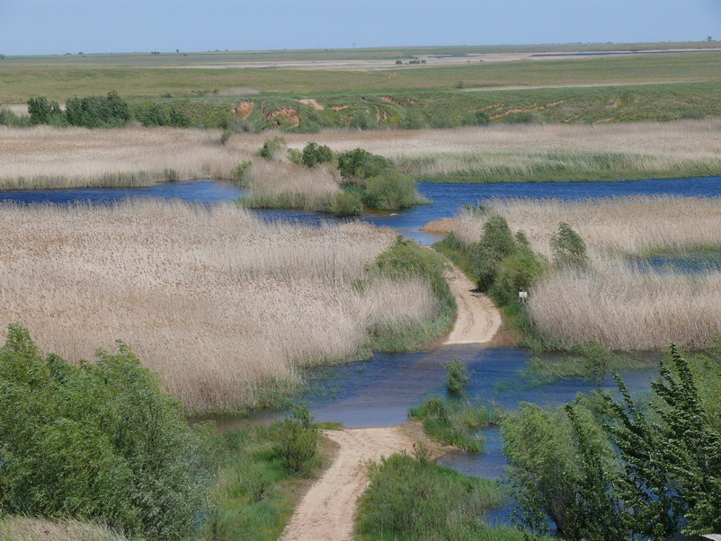 Дорога