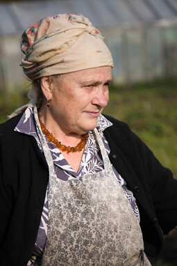 Осенние работы