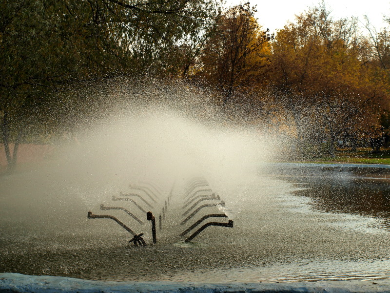 осень в городе