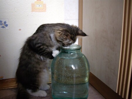 Том и ...Банка