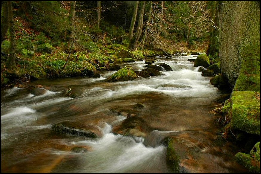 Волосатая вода