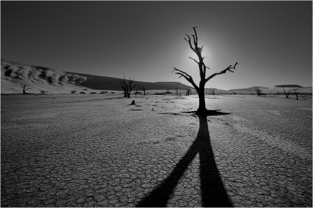 Namib