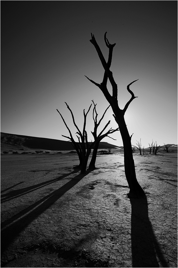 Dead Vlei