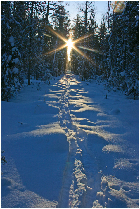 Полдень